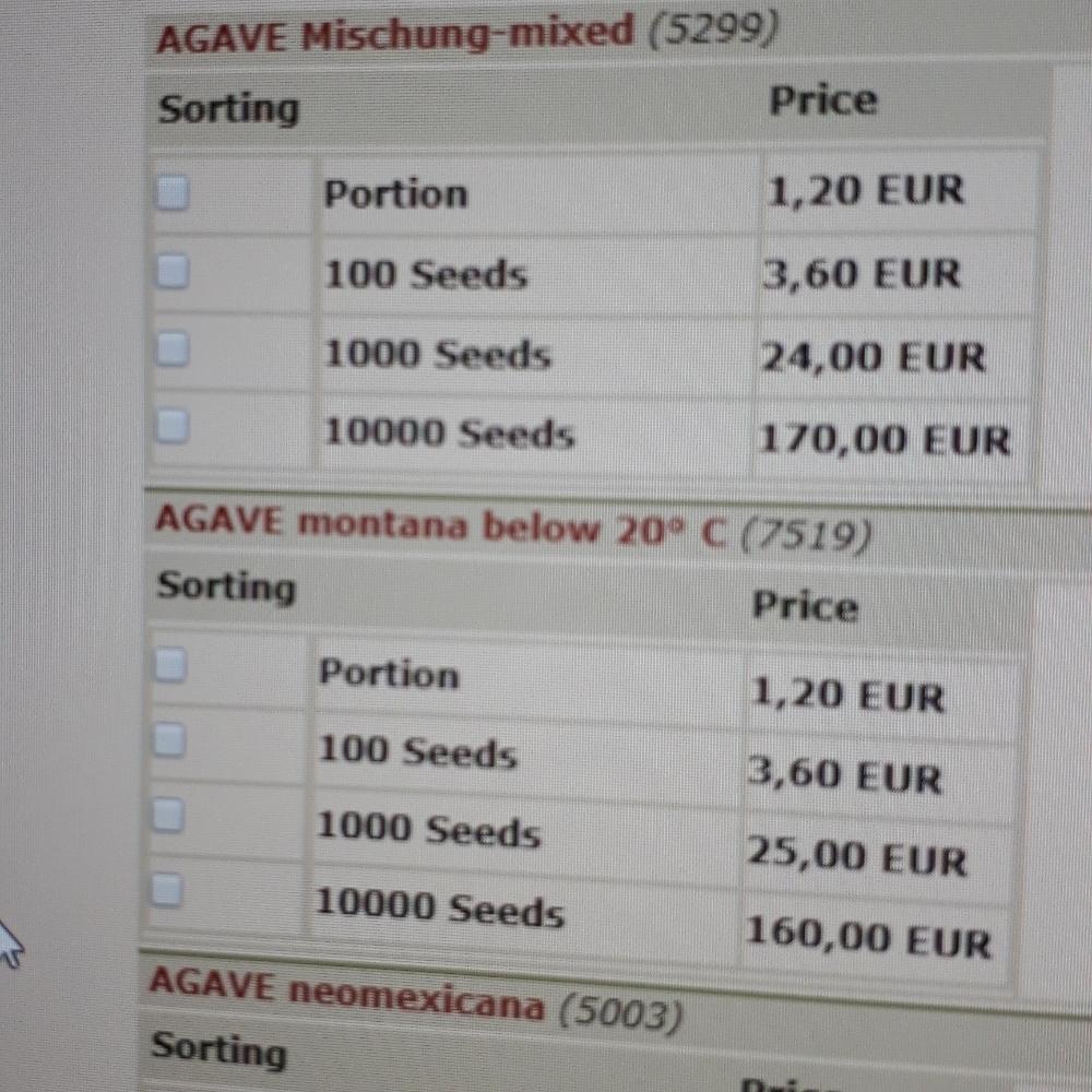 多肉植物の投稿画像 By むっとさん 輸入種子とアガベ実生と実生とアガベ実生の会とアガベ属 18月6月28日 Greensnap グリーンスナップ