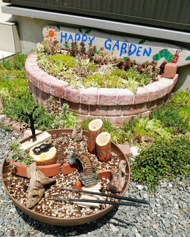 登場 クジャクストア鉢 植木鉢 多肉植物 寄せ植え 小動物 かわいい 装飾 フラワーポット ガーデンポット サボテン プランター 箱庭 ガーデン おしゃれ 飾り プレゼント Latam Tech