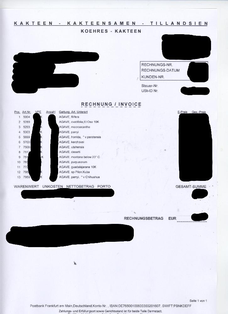 多肉植物の投稿画像 By むっとさん 輸入種子と三重県とアガベ実生とアガベ見習いと実生とアガベ実生の会とやる気スイッチおじさんとアガベ属 18月6月29日 Greensnap グリーンスナップ