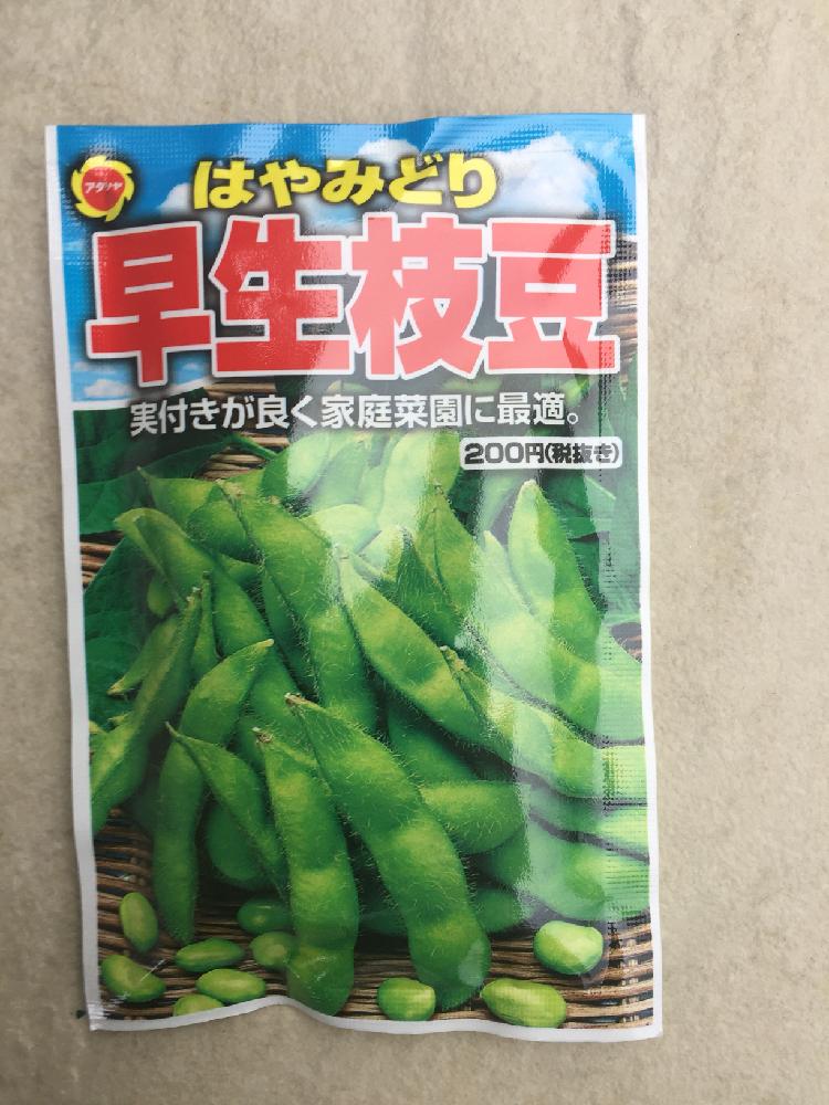 枝豆を種から育ててみるよ Greensnap グリーンスナップ