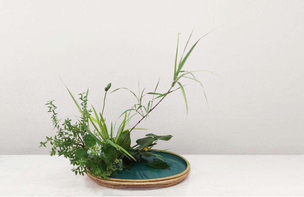 コウホネの投稿画像 By 熊野寿哉さん ダンチクとアジサイとカキツバタとユキヤナギと小さな庭と小原流生け花と雨に輝くと和物と日本の伝統と和花と盛花と小原流とgs映えと今日の一枚と今日のお花と水生植物といけばなと水盤生けと実物と小原流生け花と雨に輝くと和物と