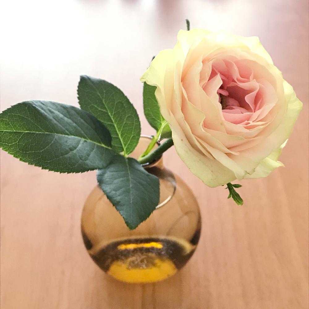 花瓶の投稿画像 By Kukkaさん 青山フラワーマーケットとaoyama Flower Marketと花のある暮らしとばら 薔薇 バラと器とお花のフォトコンテスト2018 2018月7月10日 Greensnap グリーンスナップ