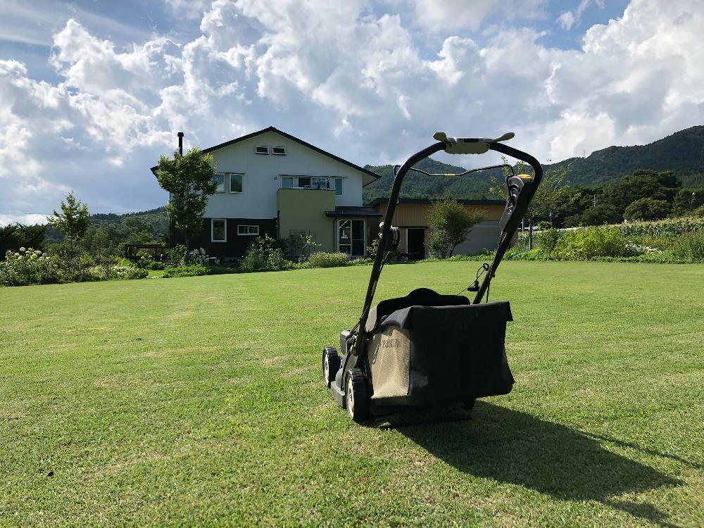 野芝の投稿画像 By ルーたんさん 梅雨明けと花のある暮らし 18月7月10日 Greensnap グリーンスナップ