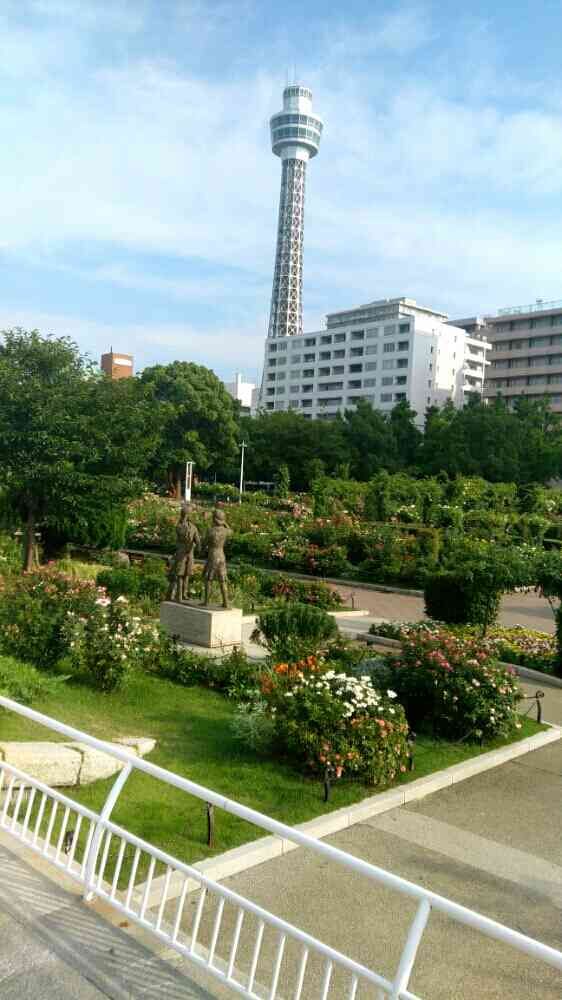 てんちゃんさんの山下公園への投稿