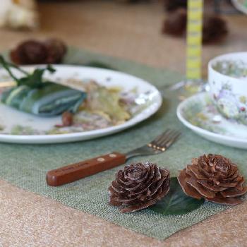 トトロからのお土産の投稿画像一覧 Greensnap グリーンスナップ