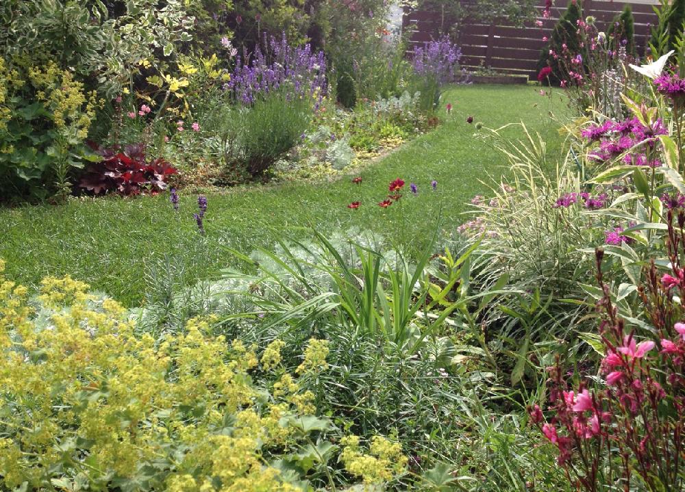 宿根草ガーデンの投稿画像 By Cloverさん 今日のお庭と芝生の庭とガーデニングと北海道と100いいね とお庭と暮らす 18月7月21日 Greensnap グリーンスナップ