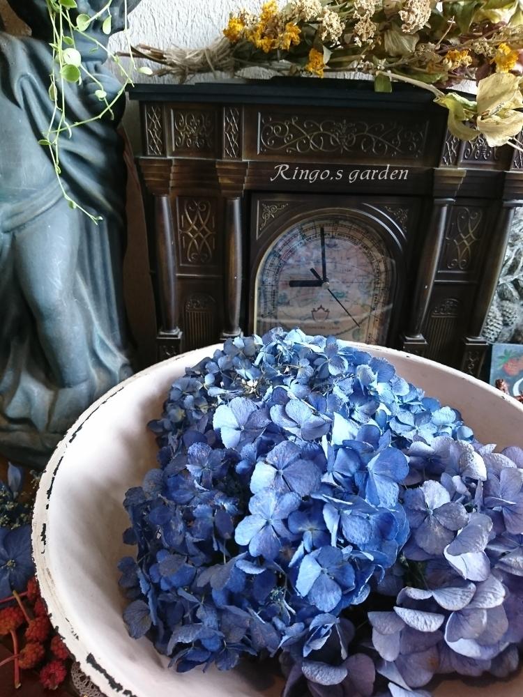シリカゲルドライの投稿画像 By Ringoさん ドライフラワーとアジサイ ドライと青い花と花のある暮らし 18月7月21日 Greensnap グリーンスナップ