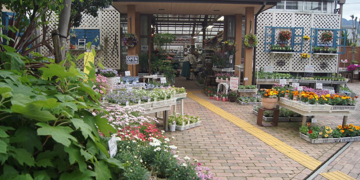 タネゲンガーデンセンター ガーデン青山のアルバム Greensnap グリーンスナップ