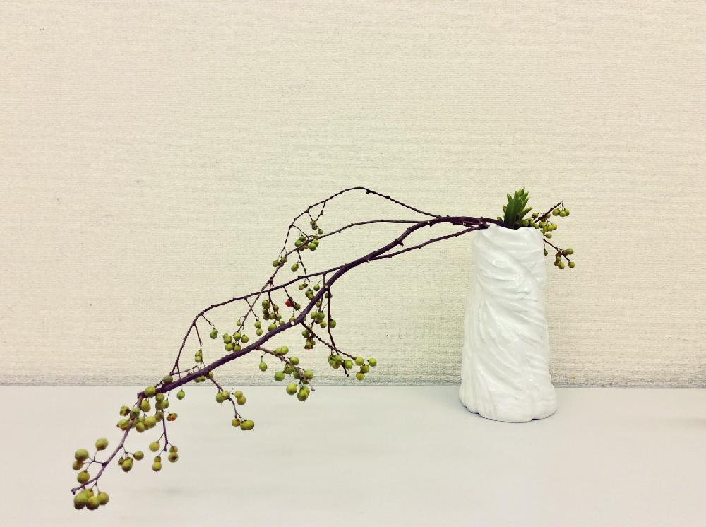 ツルウメモドキの投稿画像 By Apricot53さん 花器といけばなとフラワーアレンジメントと花のある暮らしと切り花と生け花 18月7月27日 Greensnap グリーンスナップ