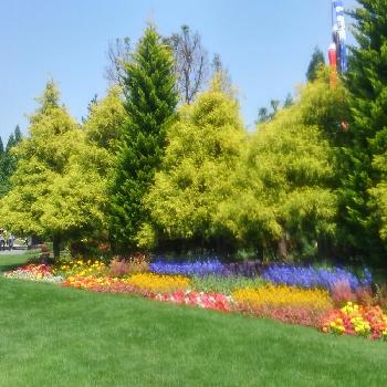 素敵な庭園の投稿画像一覧 Greensnap グリーンスナップ