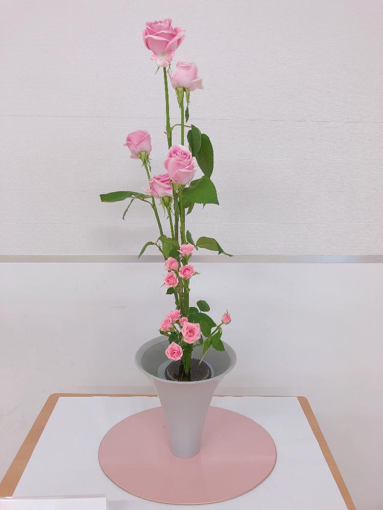 数量限定ポスター 薔薇生花 コチくん様専用 延長保証付 ハンドメイド 日用品 インテリア Roe Solca Ec