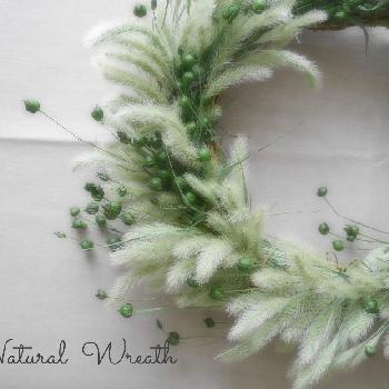 リンフラワー の投稿画像一覧 Greensnap グリーンスナップ