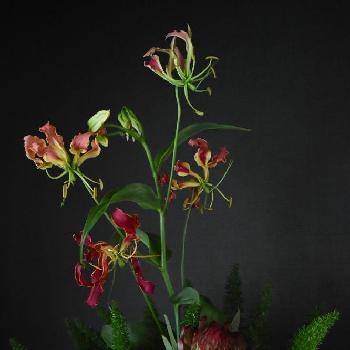 『私に花を、暮らしに華を』コンテストの画像 by hello miochanさん | 部屋と『私に花を、暮らしに華を』コンテスト