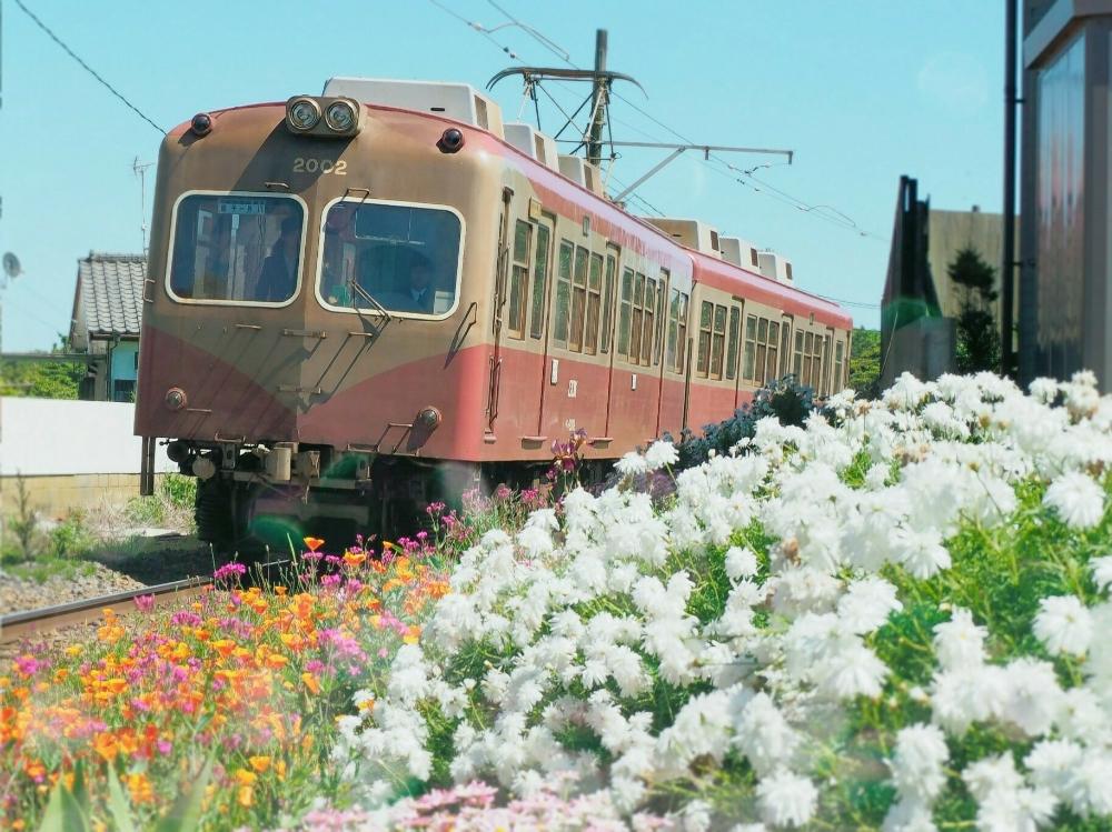 雨に輝くの投稿画像 By 海と苺と空さん 千葉県と銚子鉄道と頑張れ日本と撮り鉄と夏いとお花 18月8月8日 Greensnap グリーンスナップ