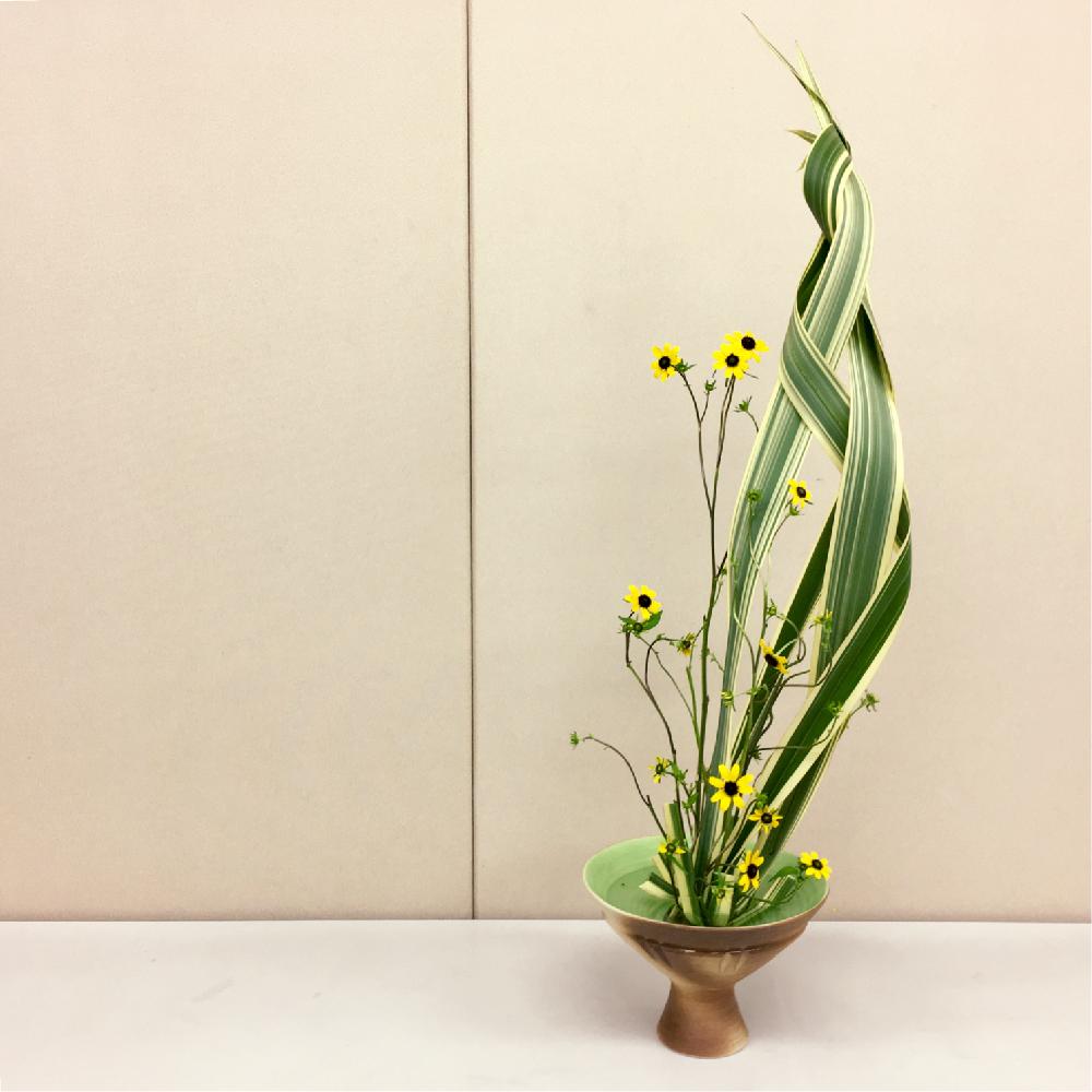ニューサイランの投稿画像 By Apricot53さん ルドベキアと花器といけばなとフラワーアレンジメントと花のある暮らしと切り花と生け花 18月8月9日 Greensnap グリーンスナップ