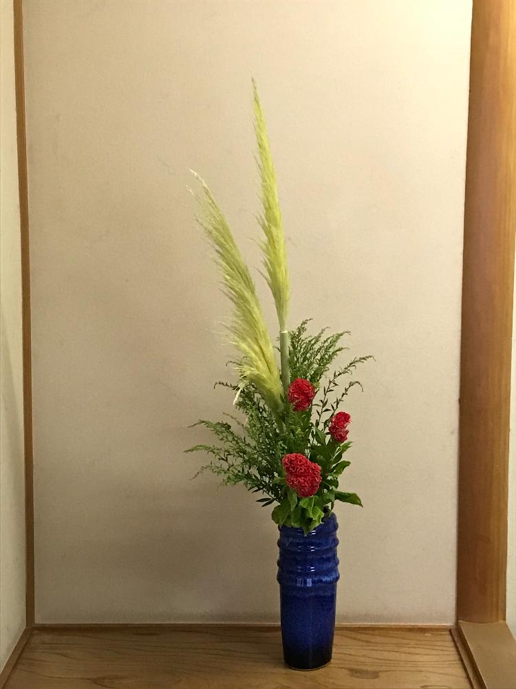 パンパスグラスの投稿画像 By わかばさん ソリダコ とケイトウとおけいこ花と投入と夏の花といけばなと花のある暮らし 18月8月12日 Greensnap グリーンスナップ