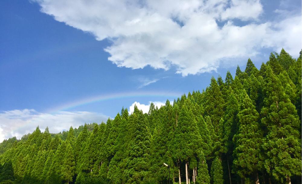 スギの投稿画像 By マキアートさん 癒しと自然美とドライブと山のある風景と美しいと虹が出た 18月8月13日 Greensnap グリーンスナップ