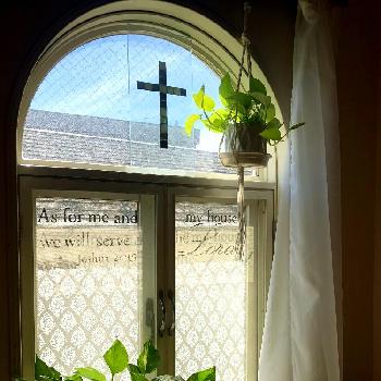 ポトス．の画像 by akaneさん | 窓辺とポトスライムとポトスゴールデンとマイポトスとハンキングと窓辺の植物たちとポトス♪とポトス．と ポトス