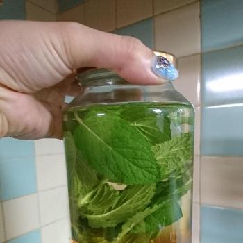 害虫駆除スプレーの投稿画像一覧 Greensnap グリーンスナップ