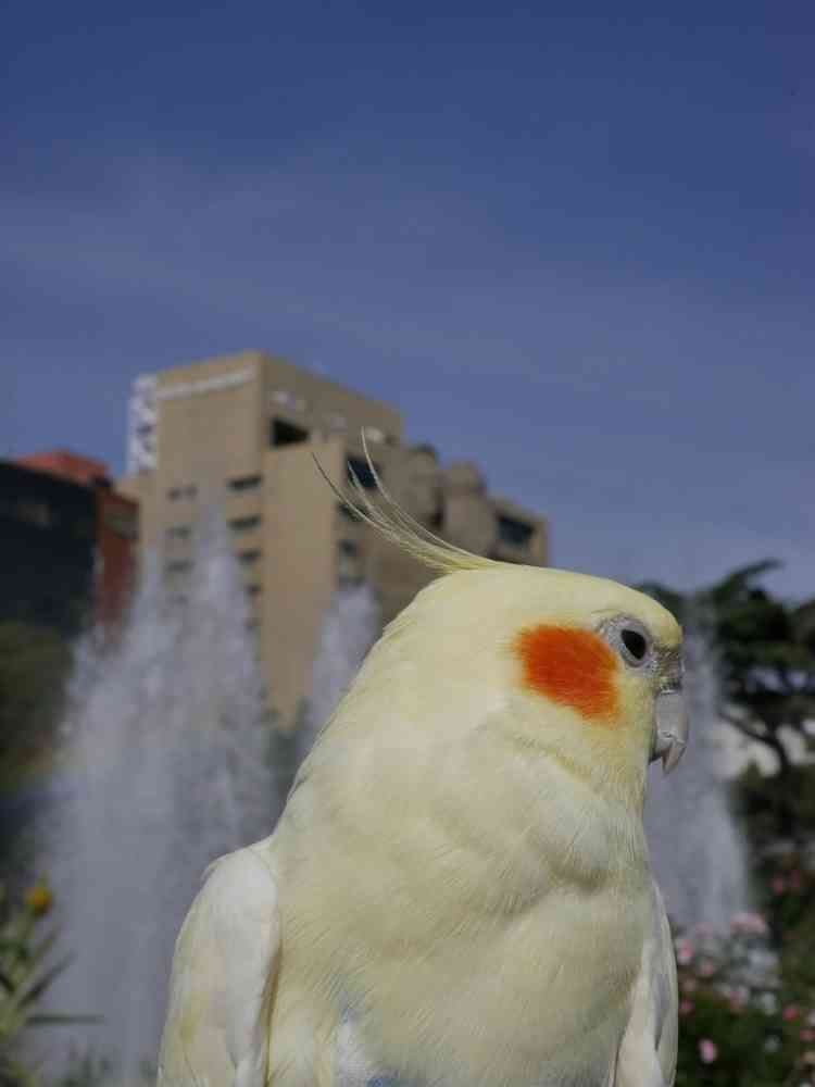 ゆず花さんの山下公園への投稿