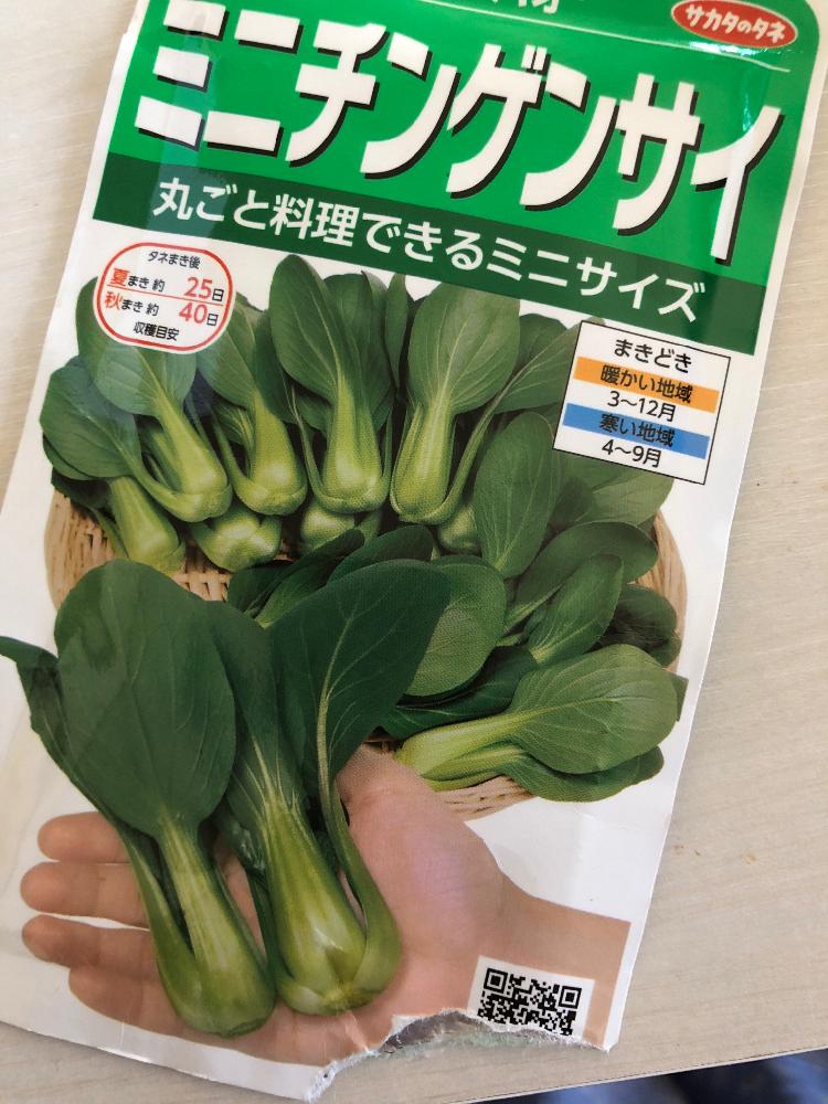 ミニチンゲン菜 Greensnap グリーンスナップ