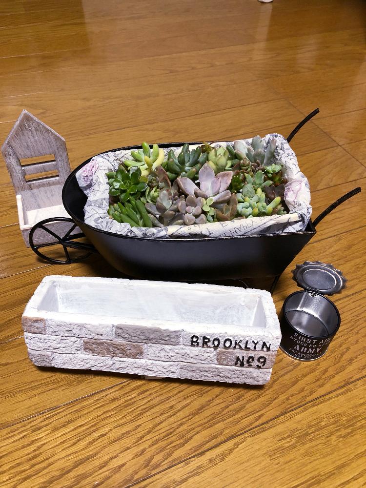 ニトリプランターキャリーの投稿画像 By Naaaさん ハンキングと多肉の寄せ植えと多肉大好きとgs映えとgs日和とdiyプランターと植中毒とプラント ハンガーとセリアとタニラーと100均アレンジと植木鉢探し中と夏の暑さに負けるな とモリモリ好きとバルコニストとちまちま