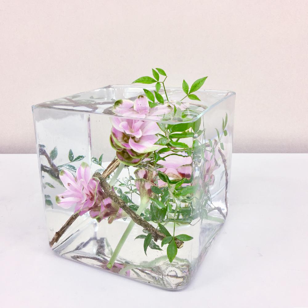 クルクマの投稿画像 By Apricot53さん ナンテンといけばなとフラワーアレンジメントと花のある暮らしとハーバリウムと切り花と生け花 18月8月30日 Greensnap グリーンスナップ