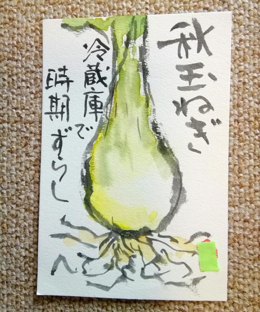 玉ねぎの投稿画像 By くまちゃんさん 台風にまけない と絵手紙 18月8月31日 Greensnap グリーンスナップ