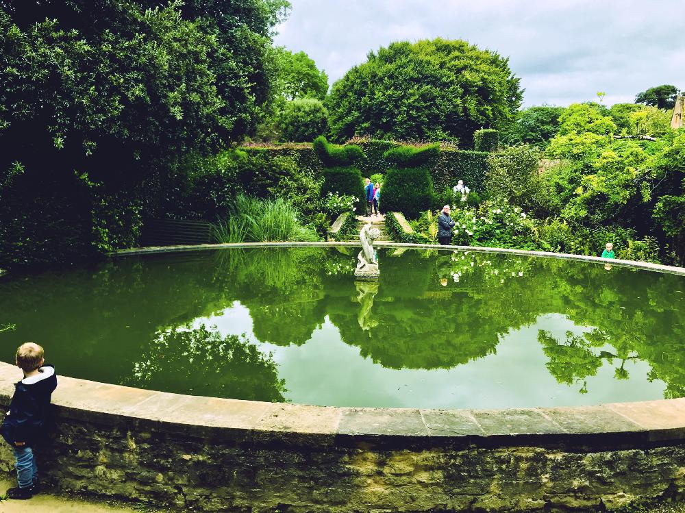 英国の投稿画像 By なお Englishgardenさん 水辺の風景とバライングリッシュローズと綺麗なミドリとgs映えとgs日和と田舎とイングリッシュガーデンとばら薔薇 ミニ薔薇 ゚とイングリッシュ ラベンダーとイングリッシュ ローズと イギリスと世界の植物フォト