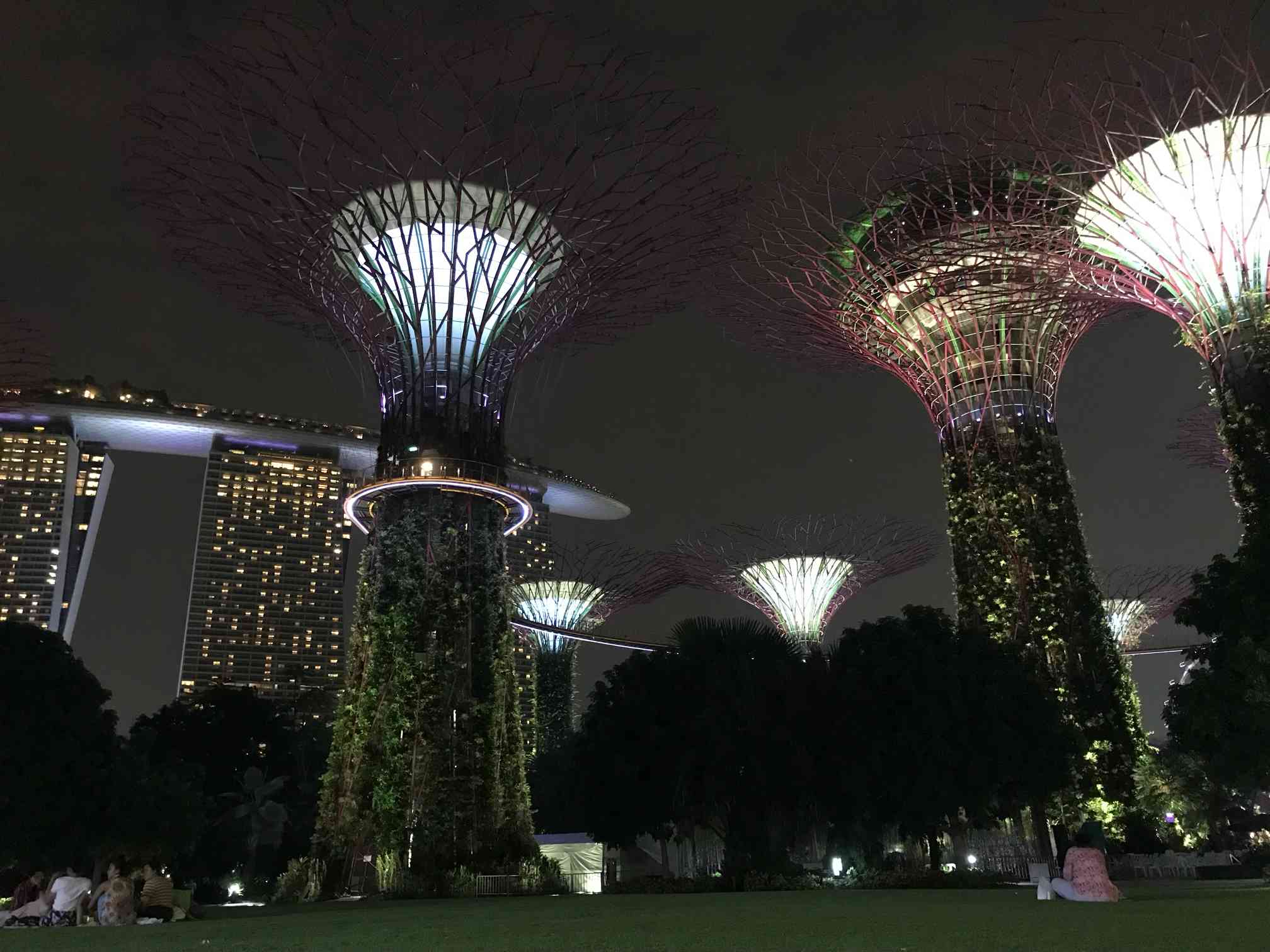 観光記録】2018.09_シンガポール植物記｜🍀GreenSnap（グリーンスナップ）