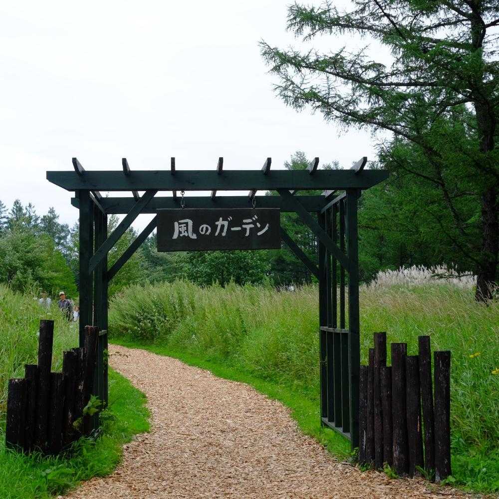 風のガーデンに行ってきました(*´-`)｜🍀GreenSnap（グリーン
