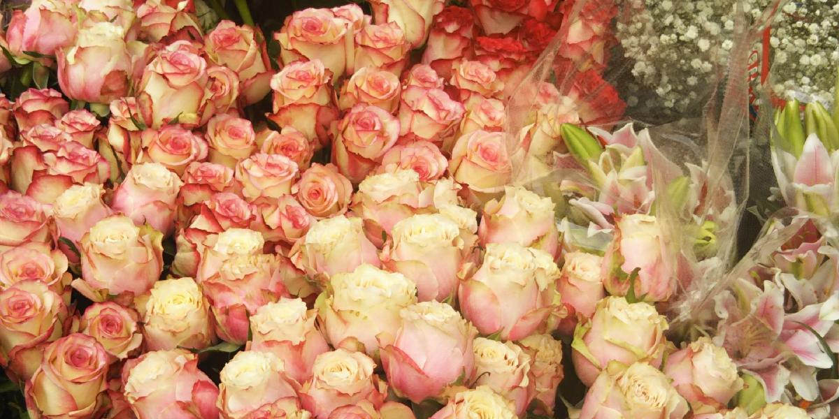 フラワーショップ小竹のアルバム Greensnap グリーンスナップ