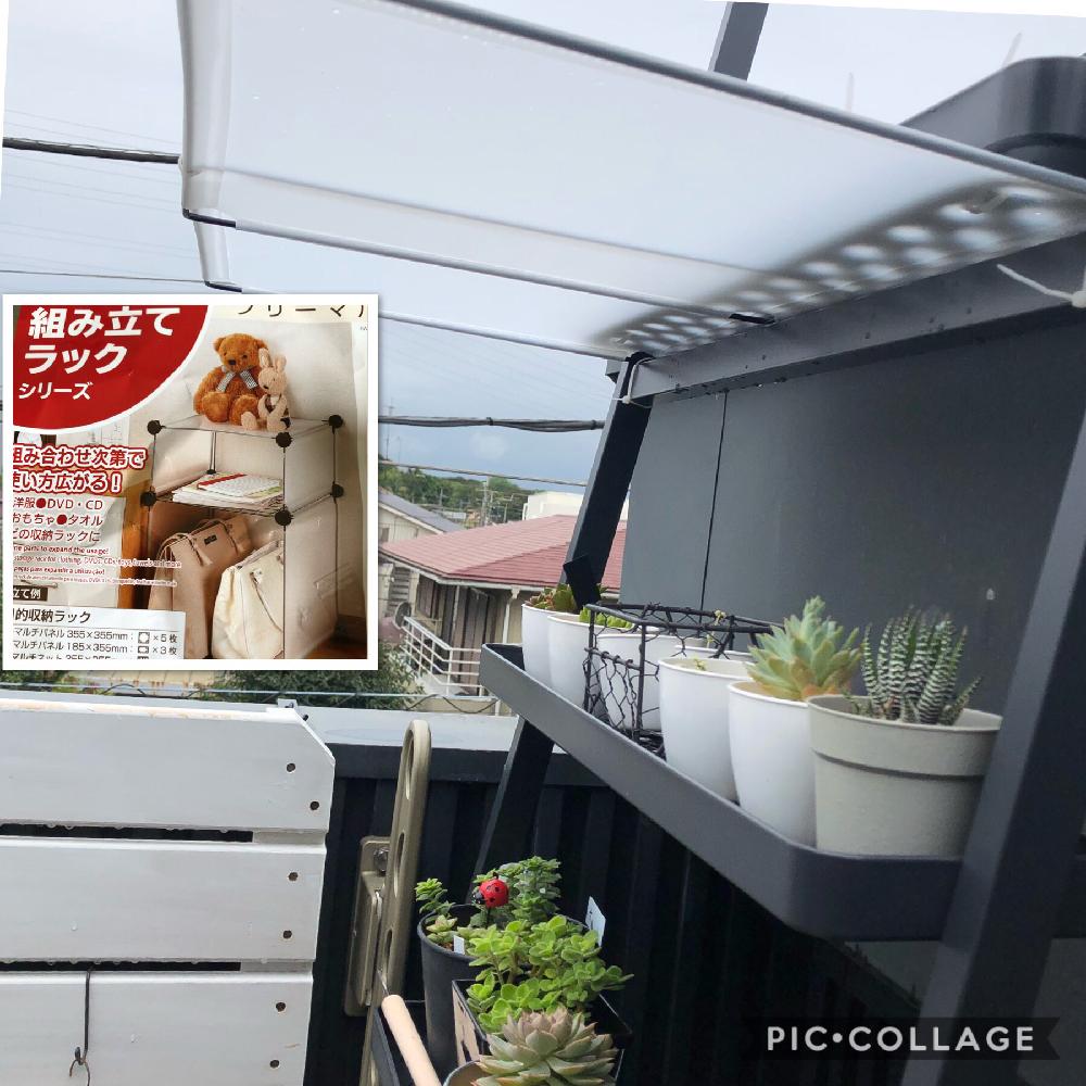 多肉植物の投稿画像 By Harushuuさん タニパトと多肉女子としあわせ とタニラーとdiyとikeaと多肉初心者とバルコニスト 18月9月14日 Greensnap グリーンスナップ