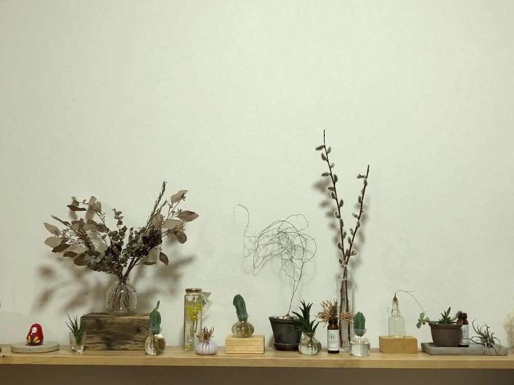 ユニークネコヤナギ 花瓶 育て方 すべての美しい花の画像