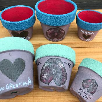 逆ハートの投稿画像一覧 Greensnap グリーンスナップ