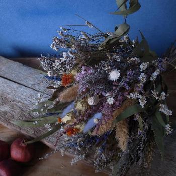 箕面の花屋の投稿画像一覧 Greensnap グリーンスナップ