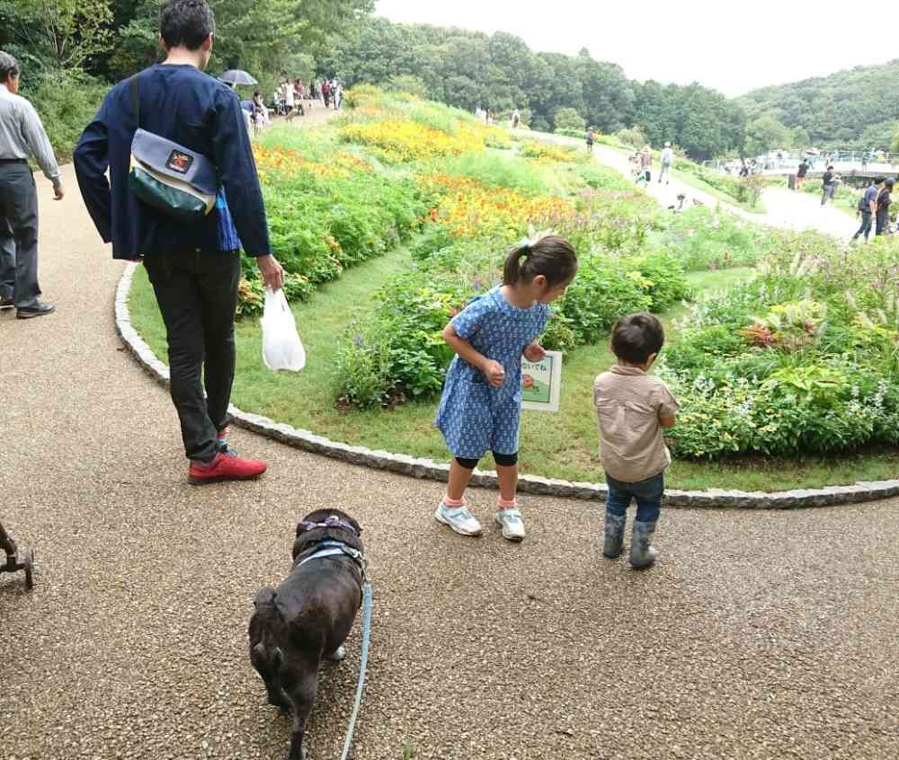 りっつっつぼーんさんの里山ガーデン（大花壇）への投稿