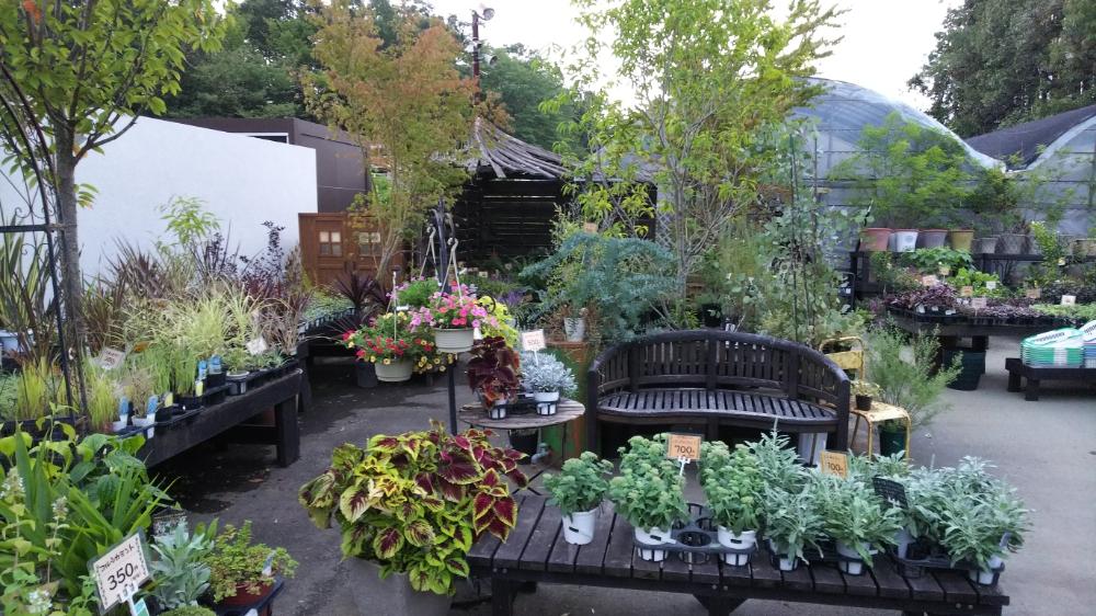 信貴山の花屋さん 岡本ガーデンの投稿画像 By Waraさん 職場と山の上の花屋 18月9月16日 Greensnap グリーンスナップ