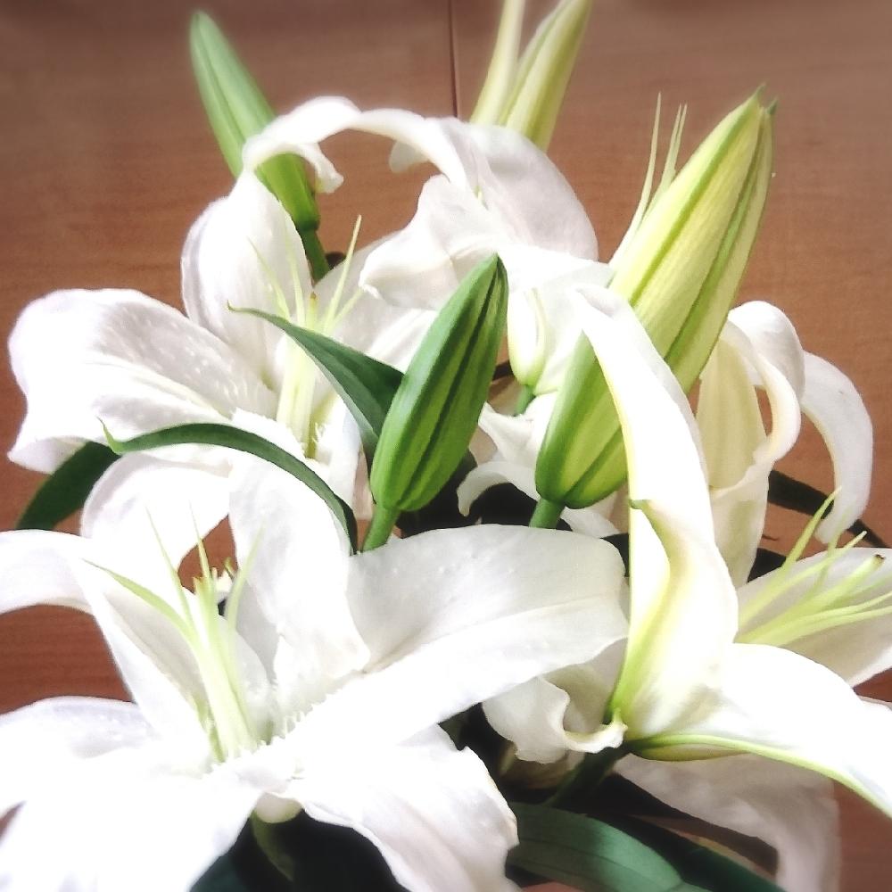幸せ の投稿画像 By いづみさん 9月と白い花といい香り と切り花とガーデニング 2018月9月19日 Greensnap グリーンスナップ