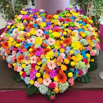 花イベントの画像 by レイママさん | お出かけ先と花のある暮らしとGS映えと花イベント