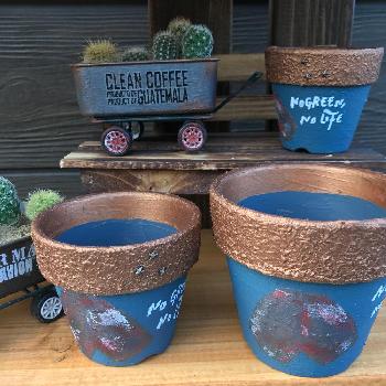 逆ハートの投稿画像一覧 Greensnap グリーンスナップ