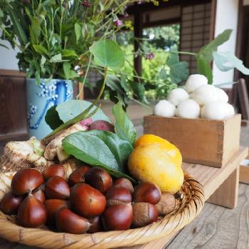 お供え物の投稿画像一覧 Greensnap グリーンスナップ