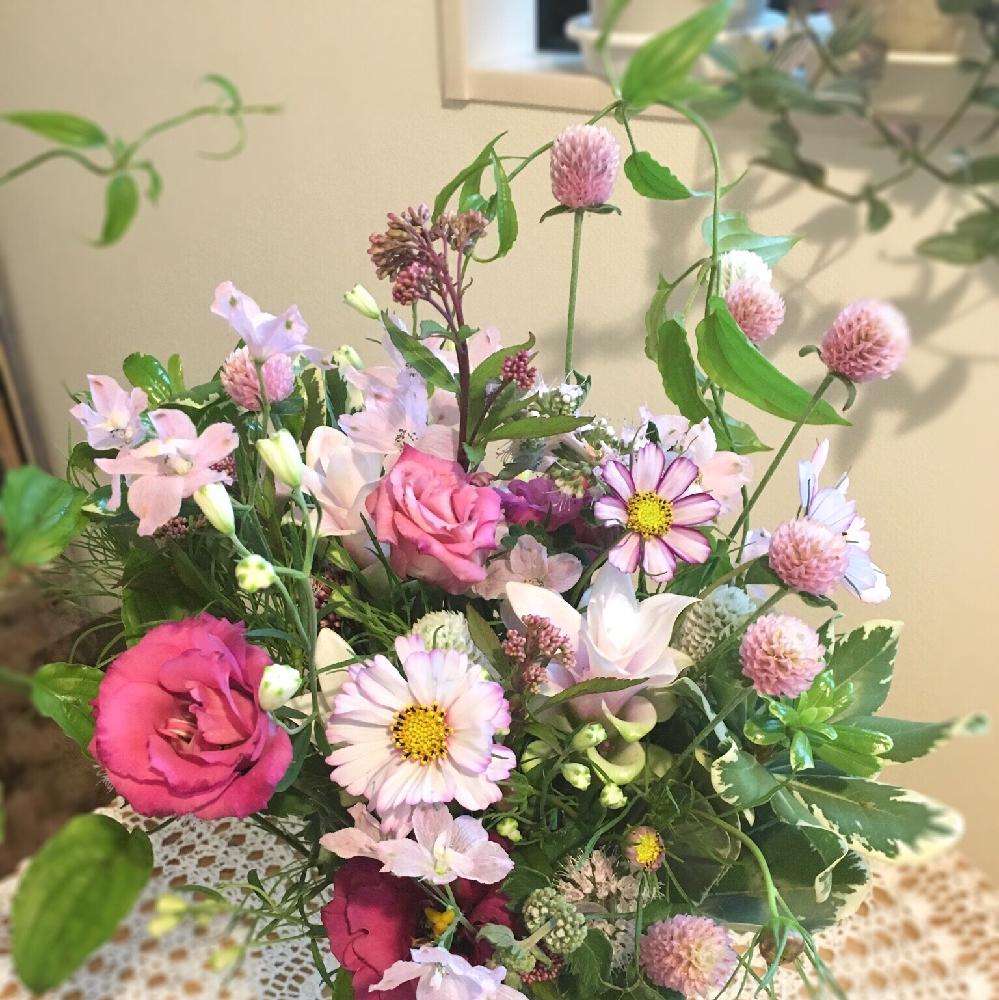 生花の投稿画像 By Hiromiさん ブーケとナチュラルスタイルとフラワーアレンジメントと花 のある暮らしとスマイルアレンジメントと切り花とセンニチコウとコスモスとトルコキキョウとデルフィニウムとフジバカマとリキュウソウとピットスポルムと部屋と生花とブーケと