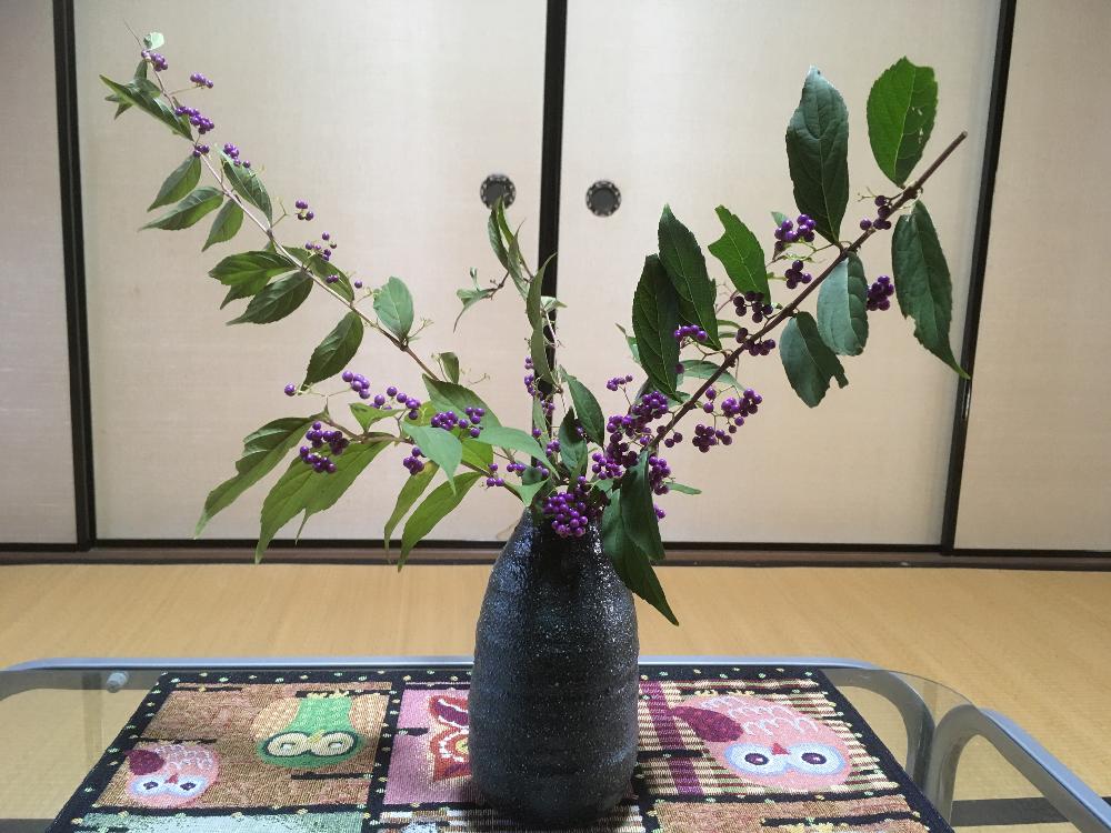 花のある暮らしの投稿画像 By ユリの娘さん 花言葉と紫式部 18月10月2日 Greensnap グリーンスナップ