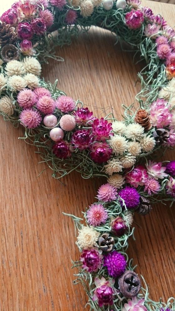 カイガラソウの投稿画像 By Oshaoshaさん センニチコウとドライフラワーとヘリクリサム とドライフラワー にする と種からと帝王貝細工とドライフラワー リースとはたけとセンニチコウ とリースと花のある暮らしと家庭菜園奮闘日記とドライフラワーになる 18月10月