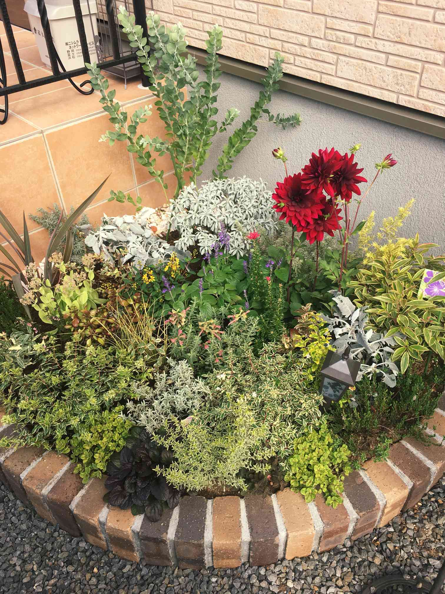 骨花壇 玄関横の花壇｜🍀GreenSnap（グリーンスナップ）