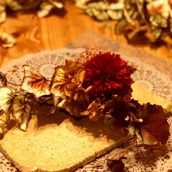 秋小物の画像 by りらさん | インテリアと器とお花のフォトコンテスト2018と陶芸と和食器とお花と和皿と花と秋小物とアーティフィシャルフラワーアレンジメントと秋の一皿と花のある暮らしと秋を感じるフォト