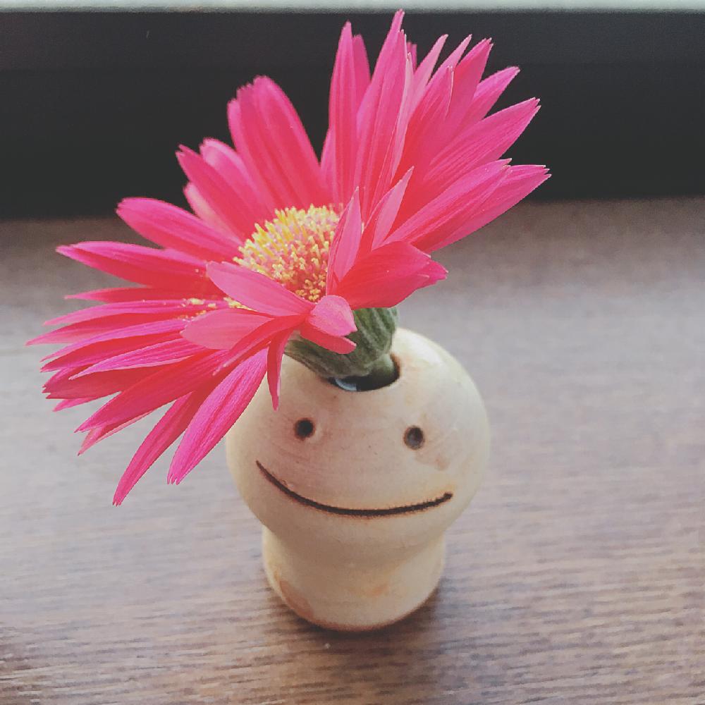 器とお花のフォトコンテスト18の投稿画像 By Cheeeさん 一輪挿しと花のある暮らしとかわいいと一輪挿しコンテストと ガーベラ 18月10月8日 Greensnap グリーンスナップ