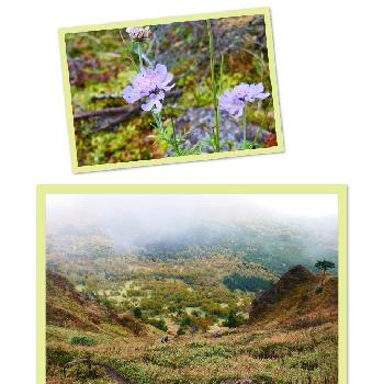 浅間山系の画像 by おケイさん | お出かけ先と登山と浅間山系