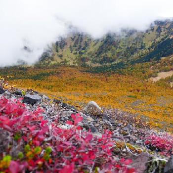 浅間山系の画像 by おケイさん | お出かけ先と浅間山系と登山